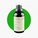 NovaCure Colorant Vert - 50 mL