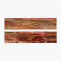 Warmed birch blisters stabilized red