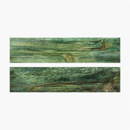 Plaquettes de bouleau échauffé stabilisé vert