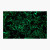 Plaquettes fibre de carbone - Dark matter Glow - Fat Carbon