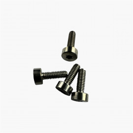 Vis titane Torx - Tête cylindrique - M2