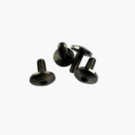 Vis de pivot titane torx - M3